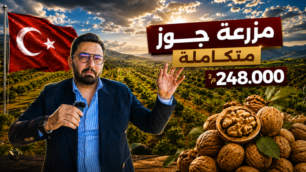 مزرعة جوز متكاملة للبيع في تركيا | مساحة 248,000 م²