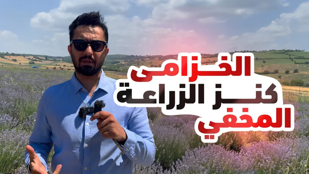"ذهب بنفسجي" طلب متزايد مع زراعة مربحة | عرض ارض زراعية مثالية للمستثمرين